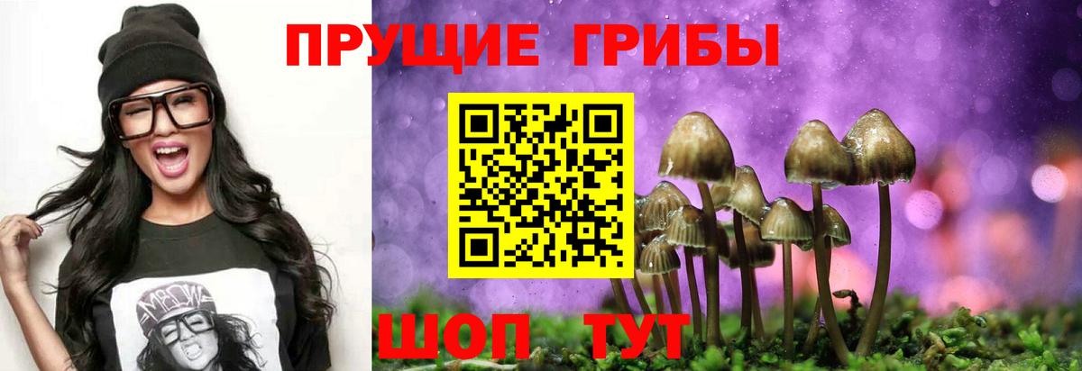 Галлюциногенные грибы Psilocybe  Вход с VPN  Кувандык  наркотики  Галлюциногенные грибы мухоморы 